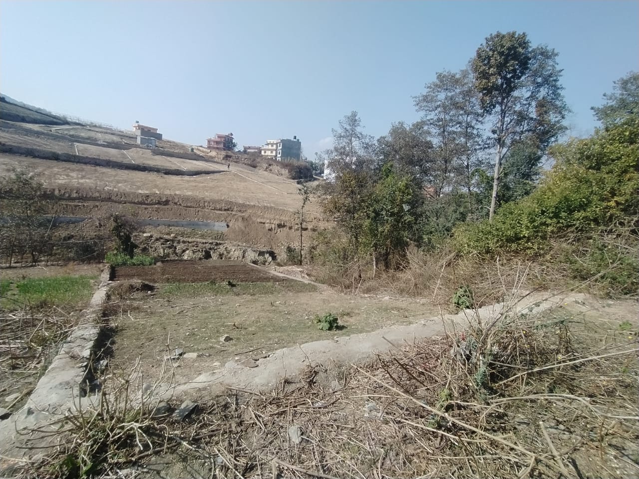 Picture of Mahalaxmi Municipality, Bagmati